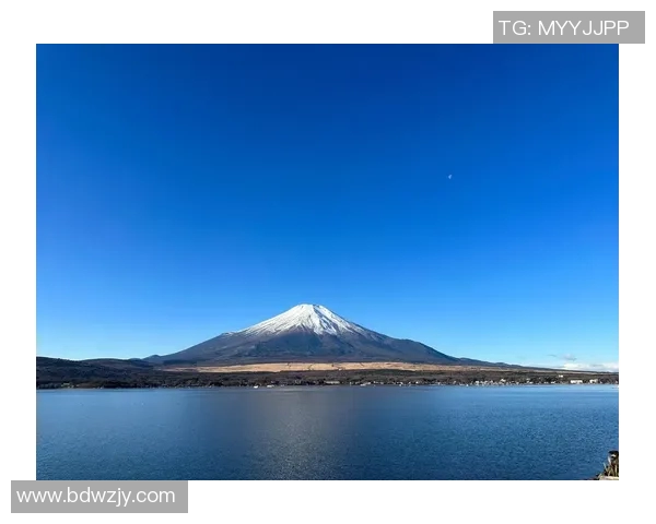 名古屋与东京的文化碰撞与城市魅力深度对比分析